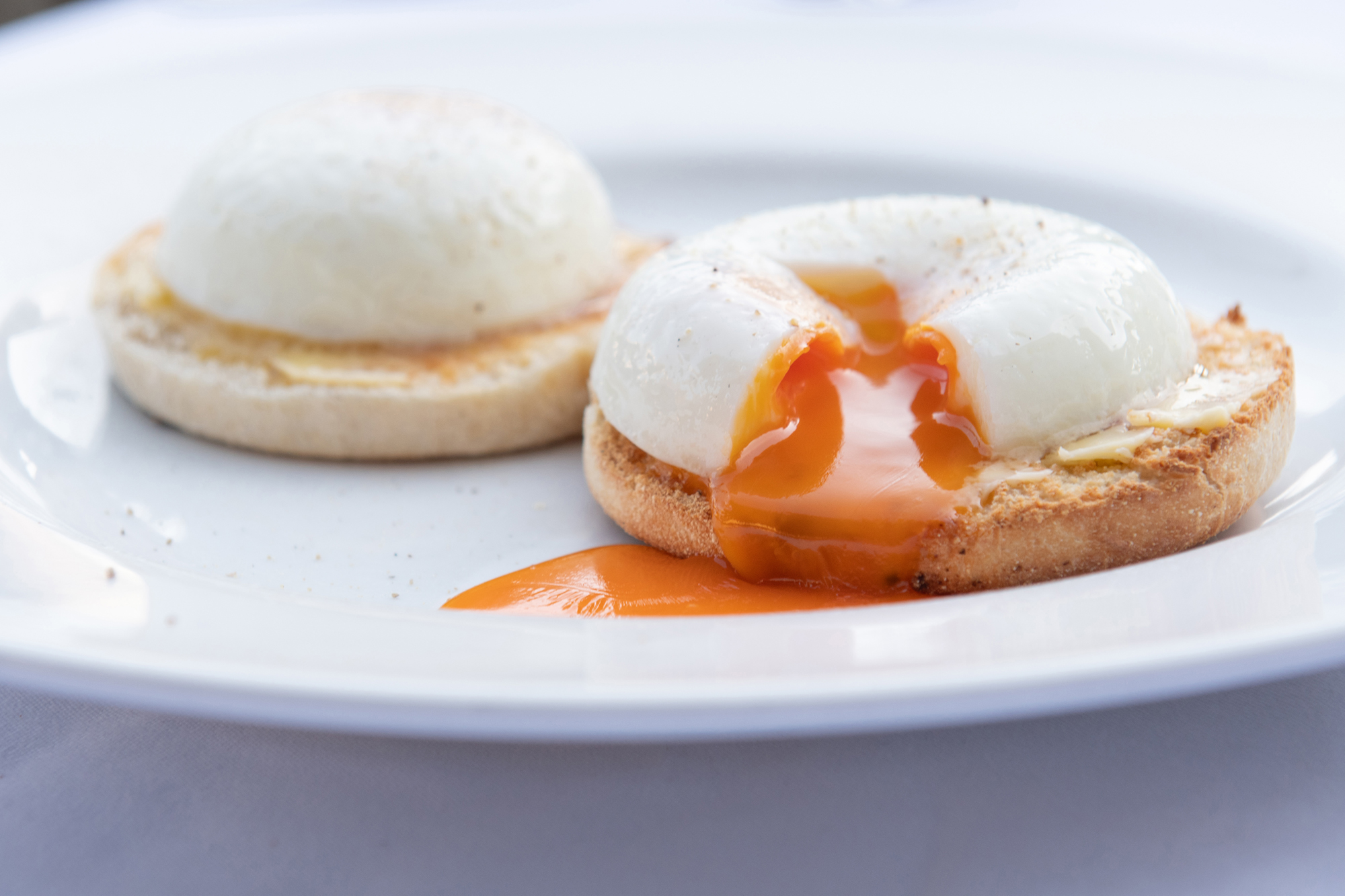 Gwynfryn_Food_072